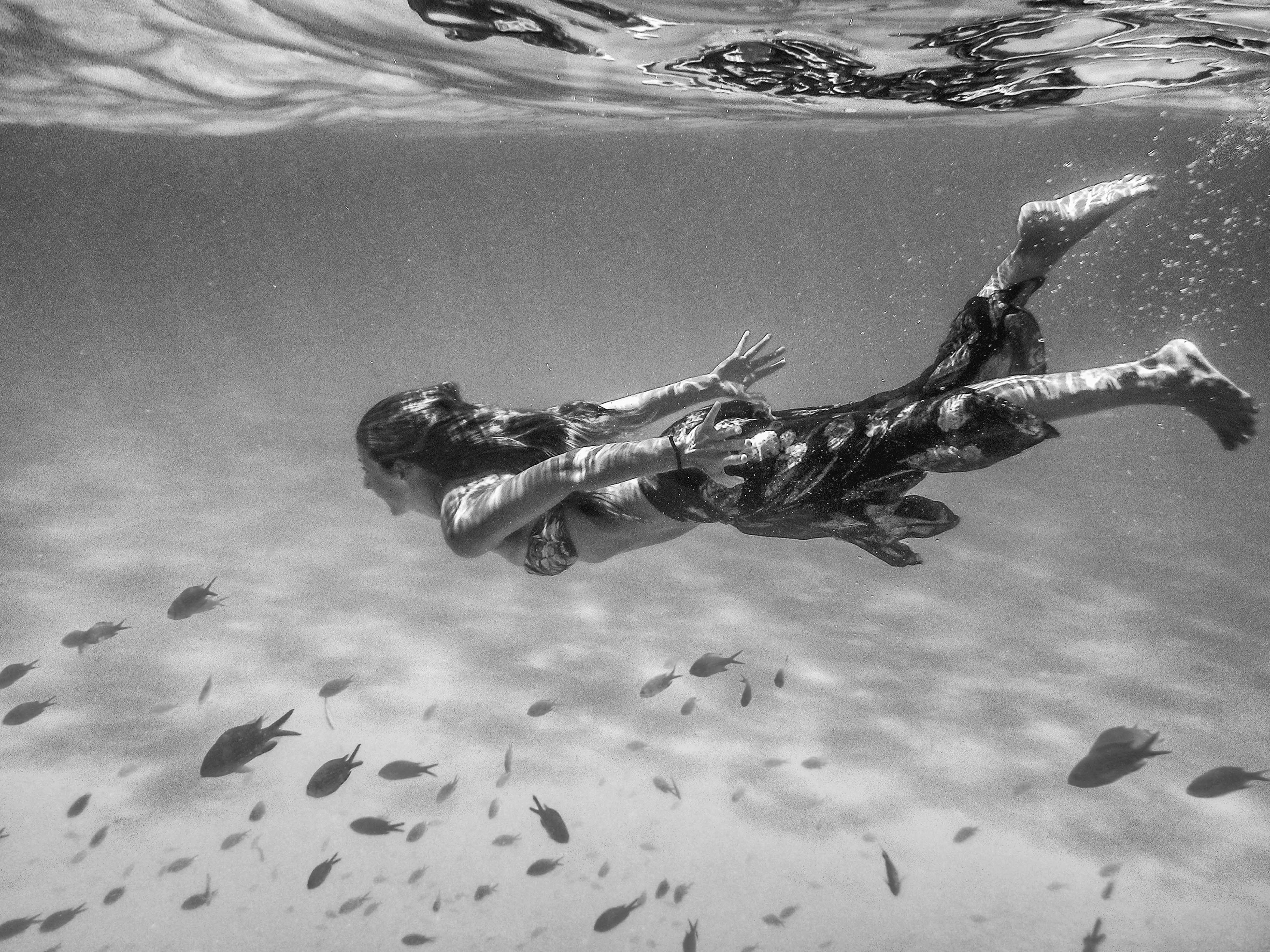 nadando con peces